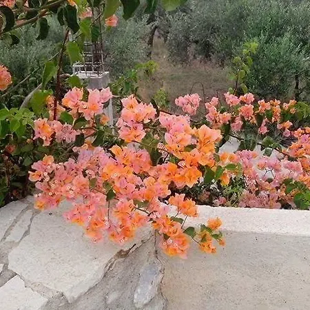 Sophia&daphne אגיוס ניקולאוס